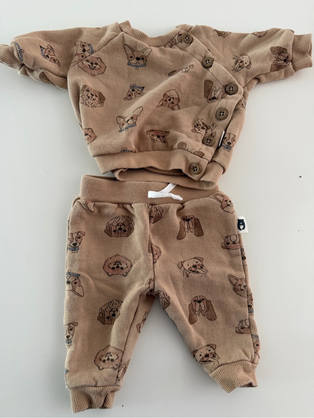 Rabbit +Bear Kids Brown Puppy Print Jogger Set
